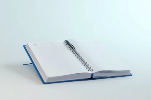 상사가 시키기 전 미리 준비하는 '레디코어' 업무법 6 example 195