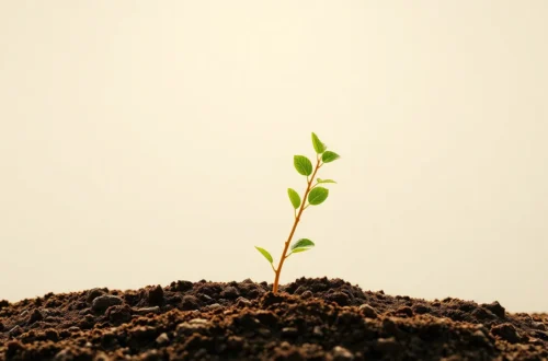 근본주의 코칭: 본질 가르치고 자율 부여 6 example 9